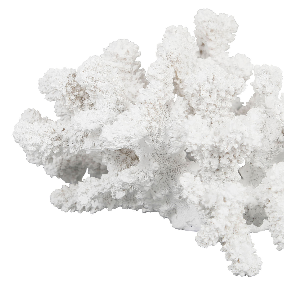 Deco Coral Bordemer White 20.5X19.5H11.5 Polyresin — The Hampton Home Shop