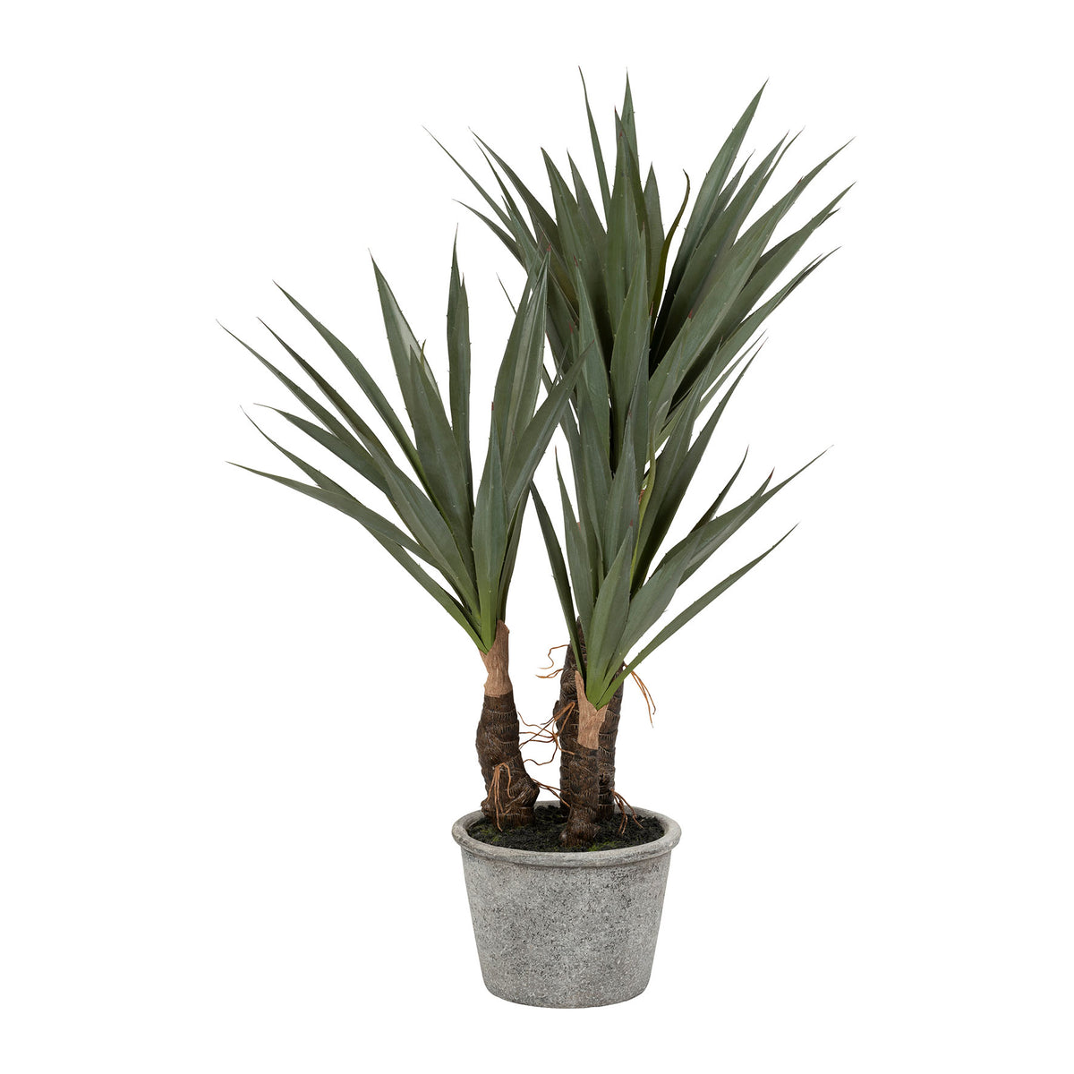 Plant Yucca Dark Green H53 Plastic+Wire+Foam+Paper — The Hampton Home Shop