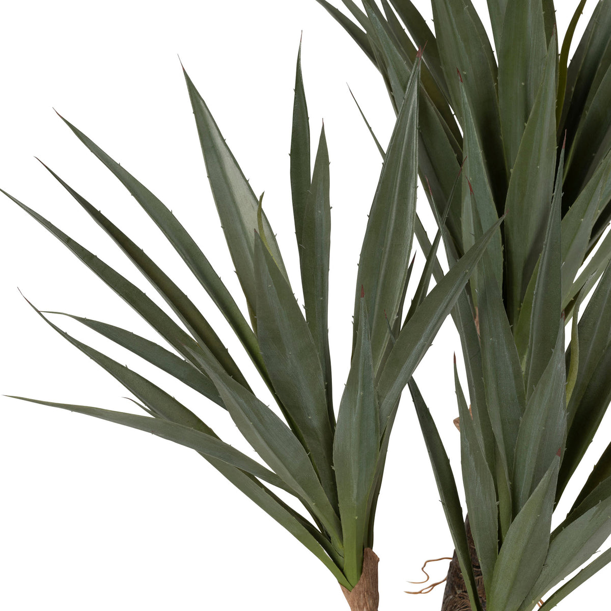 Plant Yucca Dark Green H53 Plastic+Wire+Foam+Paper — The Hampton Home Shop
