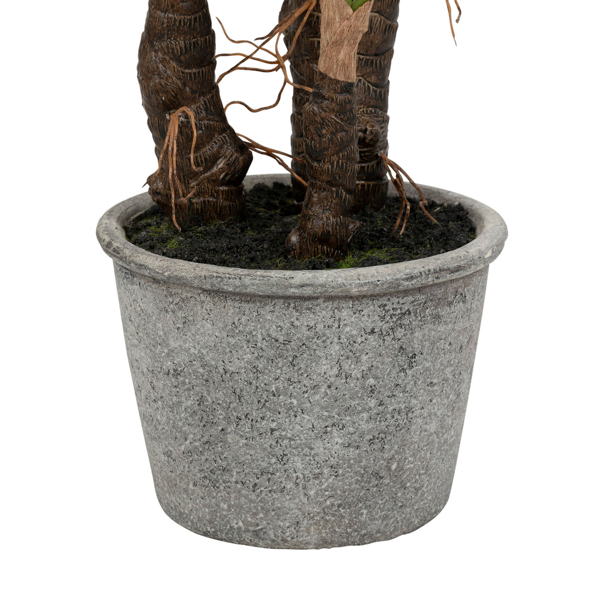 Plant Yucca Dark Green H53 Plastic+Wire+Foam+Paper — The Hampton Home Shop