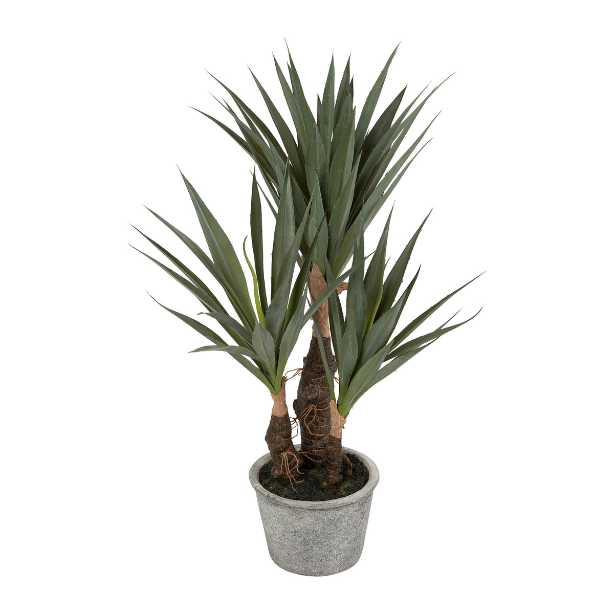 Plant Yucca Dark Green H53 Plastic+Wire+Foam+Paper — The Hampton Home Shop