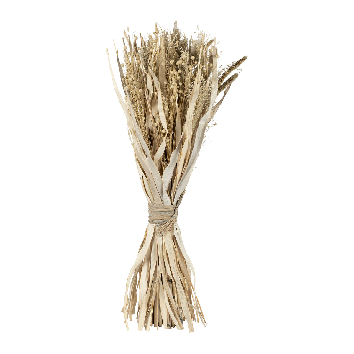 Bouquet Alpiste-Millet Nat H60 Dried Plants — The Hampton Home Shop