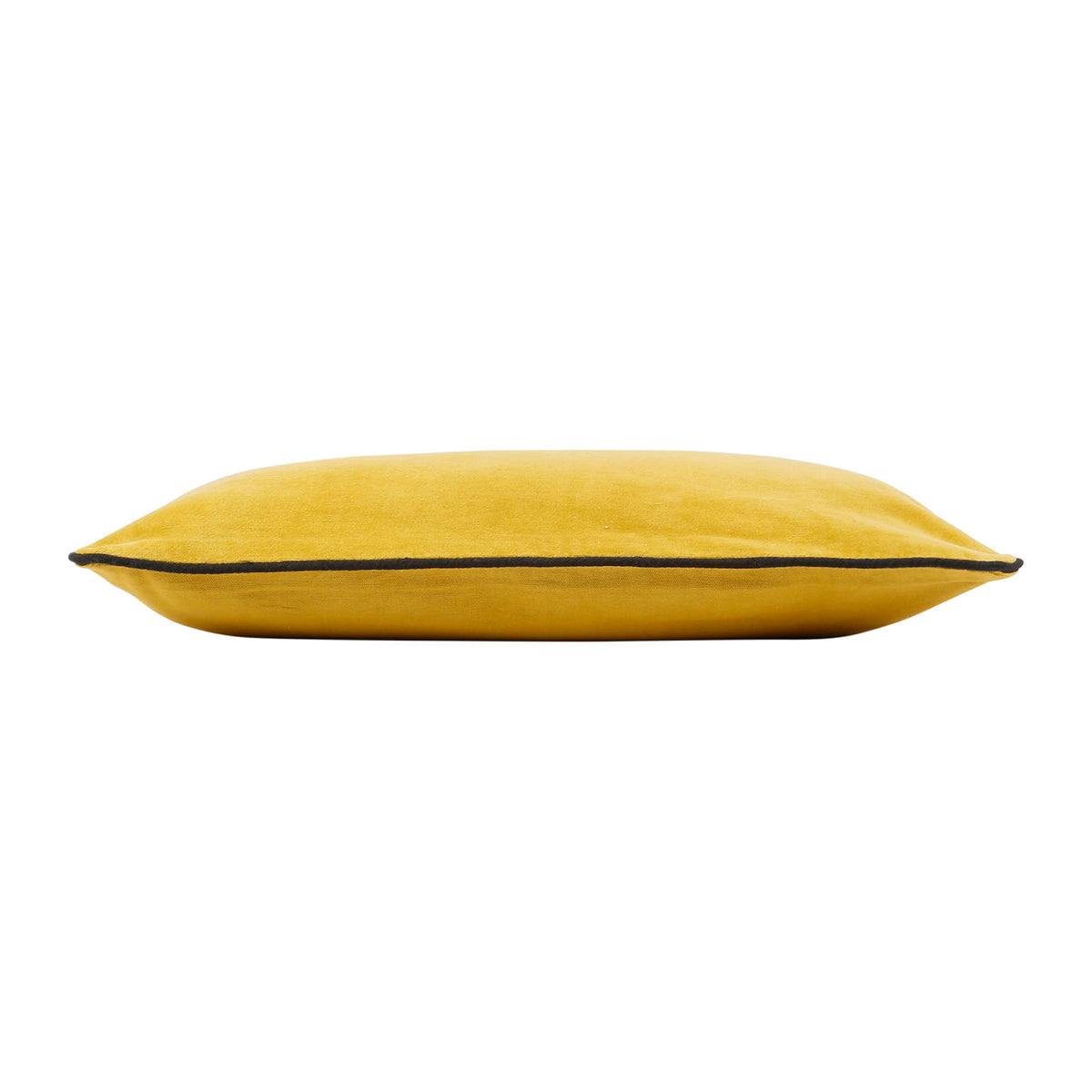 Cushion Cover Velvetin Mustard 50X30 Cotton Velvet — The Hampton Home Shop