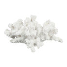 Deco Coral Bordemer White 20.5X19.5H11.5 Polyresin — The Hampton Home Shop