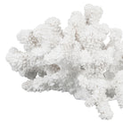 Deco Coral Bordemer White 20.5X19.5H11.5 Polyresin — The Hampton Home Shop