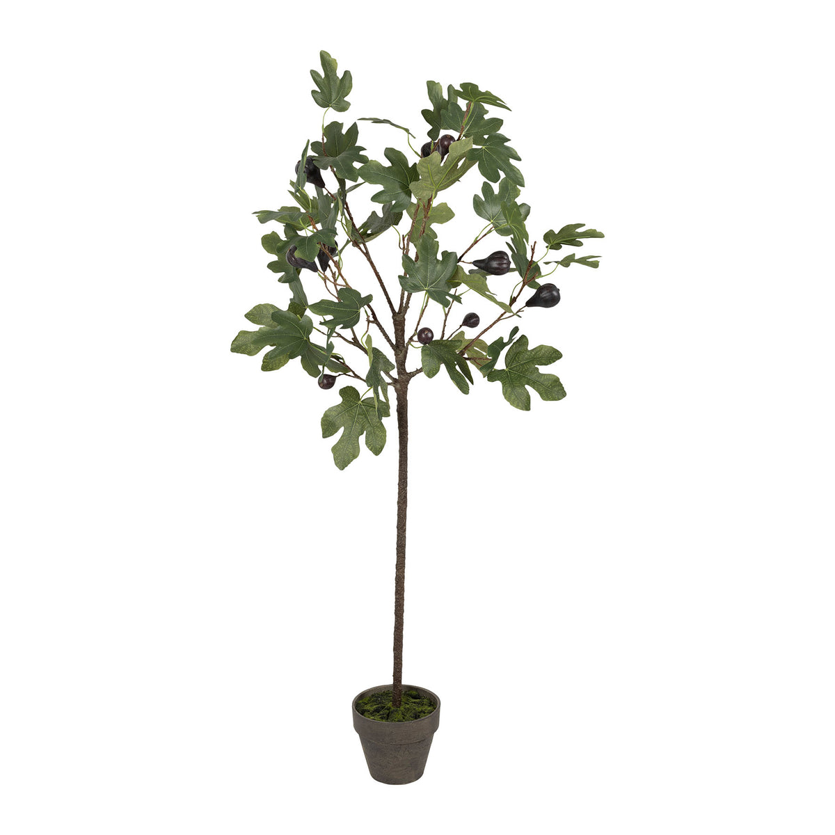 Plant Fig Tree Green H120Cm Plastic+Polyester+Wire — The Hampton Home Shop