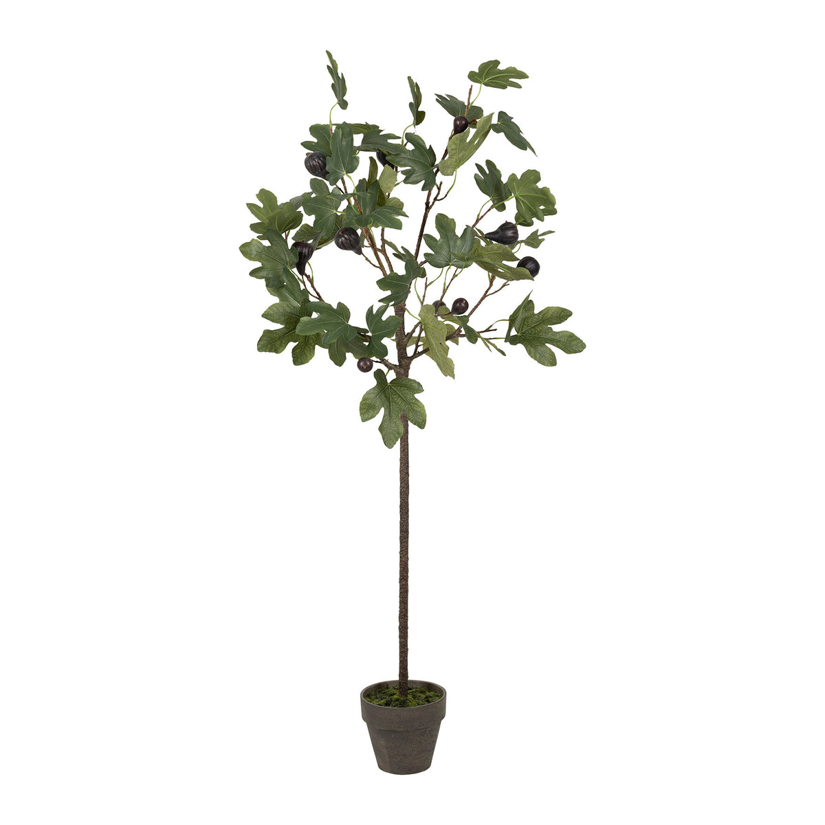 Plant Fig Tree Green H120Cm Plastic+Polyester+Wire — The Hampton Home Shop