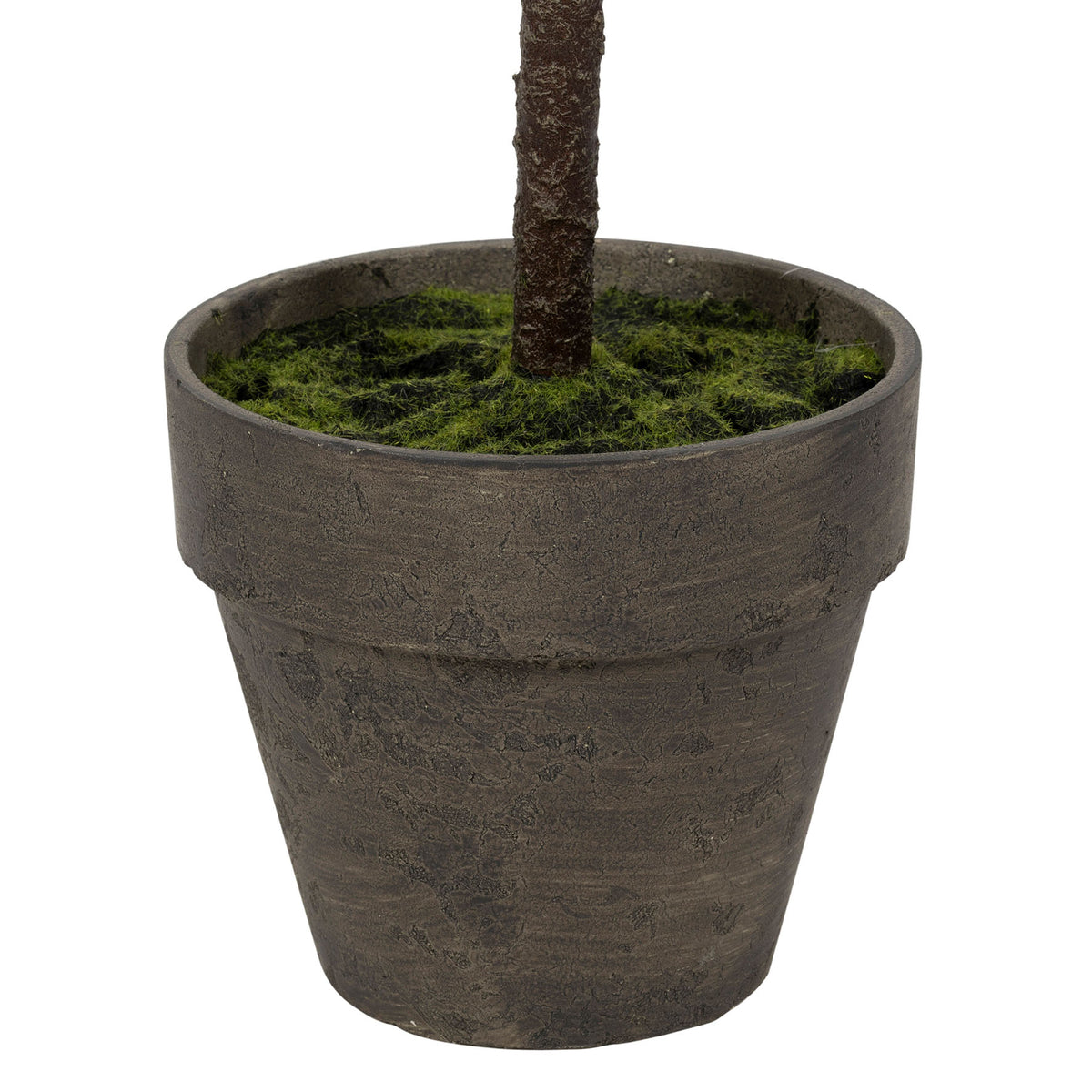 Plant Fig Tree Green H120Cm Plastic+Polyester+Wire — The Hampton Home Shop