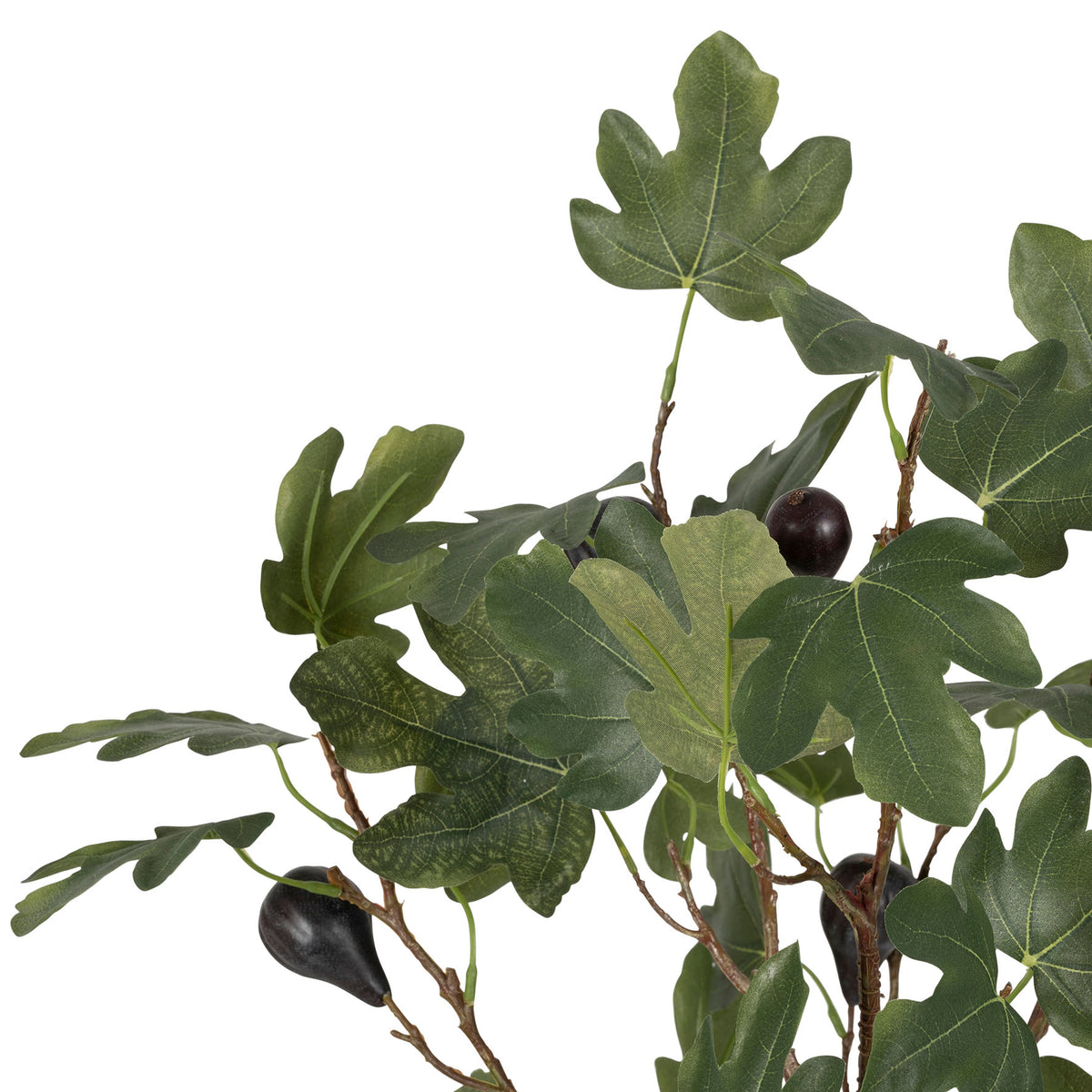 Plant Fig Tree Green H120Cm Plastic+Polyester+Wire — The Hampton Home Shop