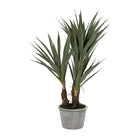Plant Yucca Dark Green H53 Plastic+Wire+Foam+Paper — The Hampton Home Shop