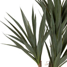 Plant Yucca Dark Green H53 Plastic+Wire+Foam+Paper — The Hampton Home Shop