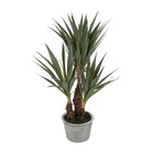 Plant Yucca Dark Green H53 Plastic+Wire+Foam+Paper — The Hampton Home Shop
