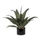 Plant Agave Green D42Xh52Cm Pe+Wire — The Hampton Home Shop