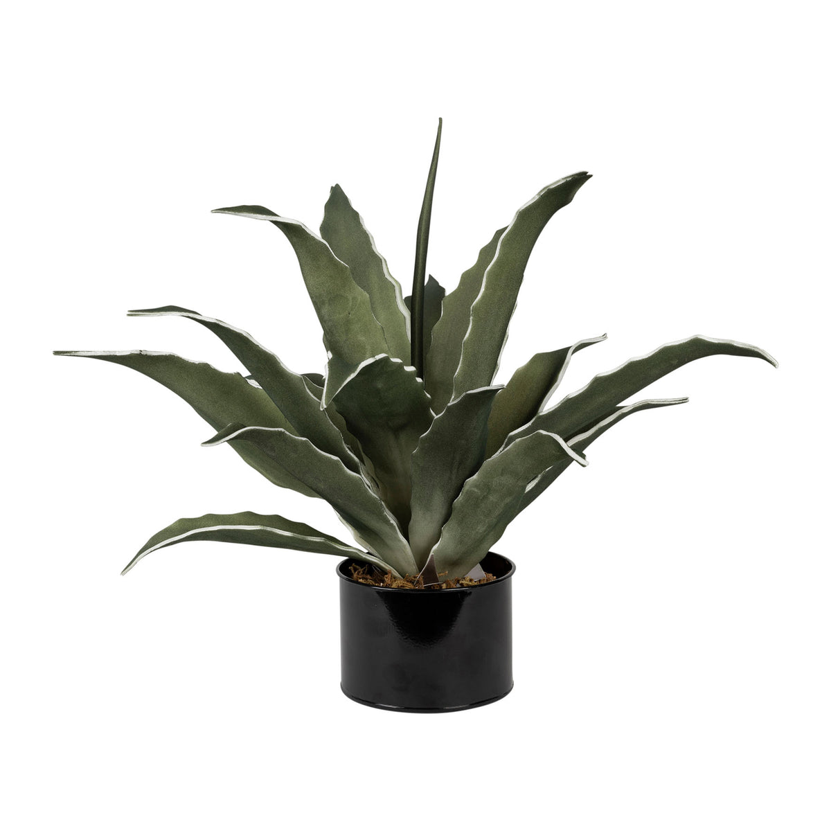 Plant Agave Green D42Xh52Cm Pe+Wire — The Hampton Home Shop