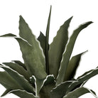 Plant Agave Green D42Xh52Cm Pe+Wire — The Hampton Home Shop