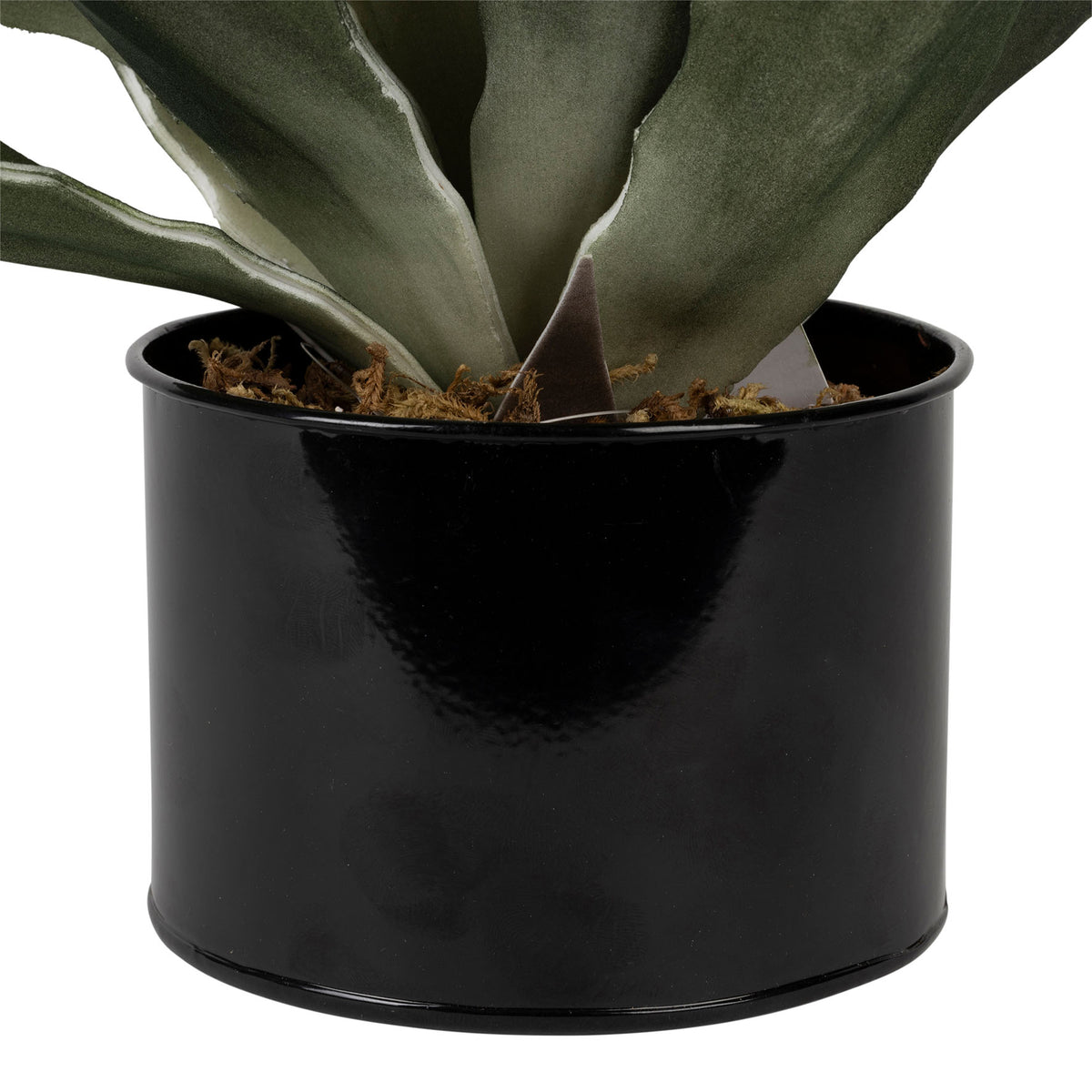 Plant Agave Green D42Xh52Cm Pe+Wire — The Hampton Home Shop
