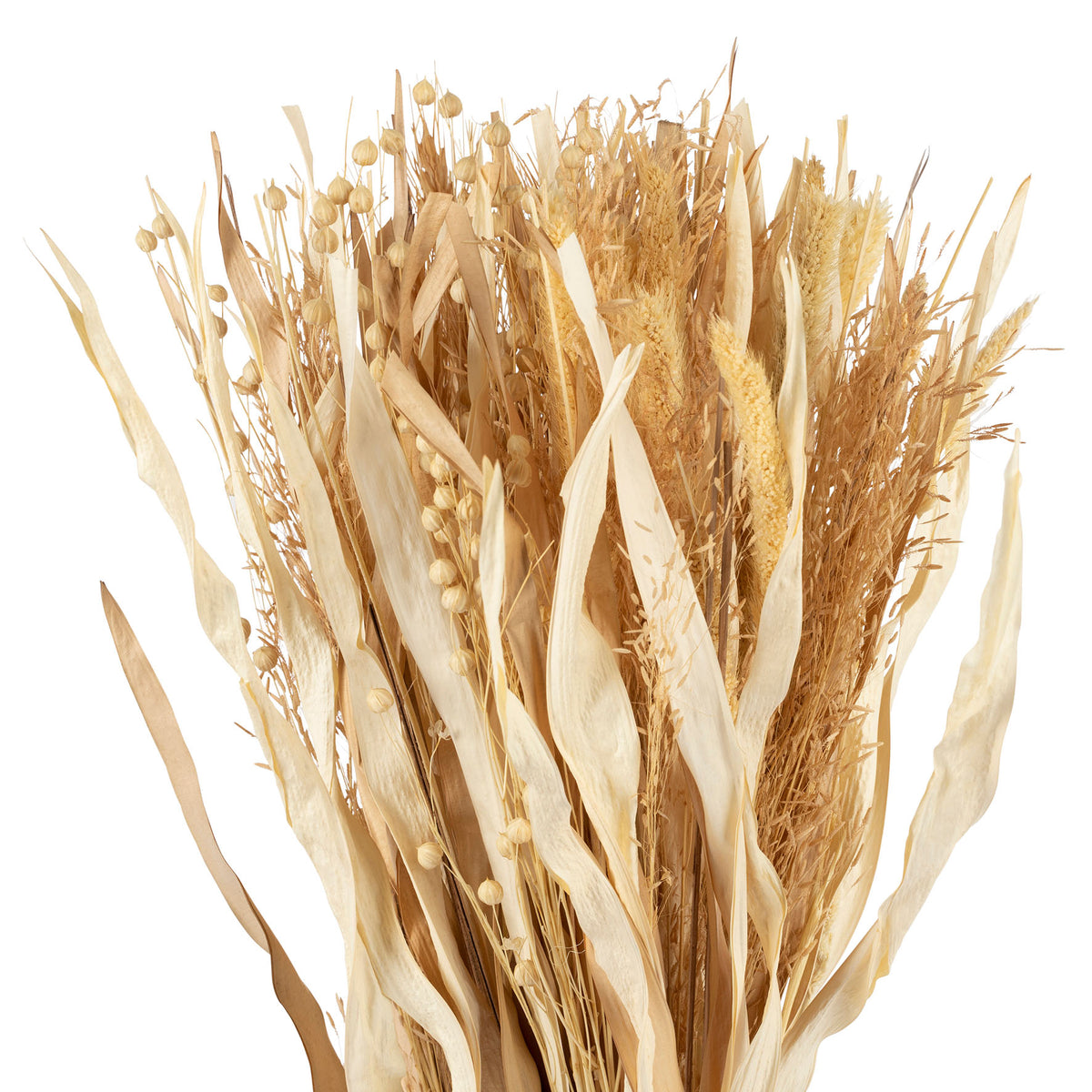 Bouquet Millet-Lin Nat H60 Dried Plants — The Hampton Home Shop