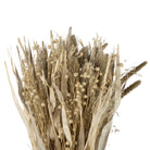 Bouquet Alpiste-Millet Nat H60 Dried Plants — The Hampton Home Shop