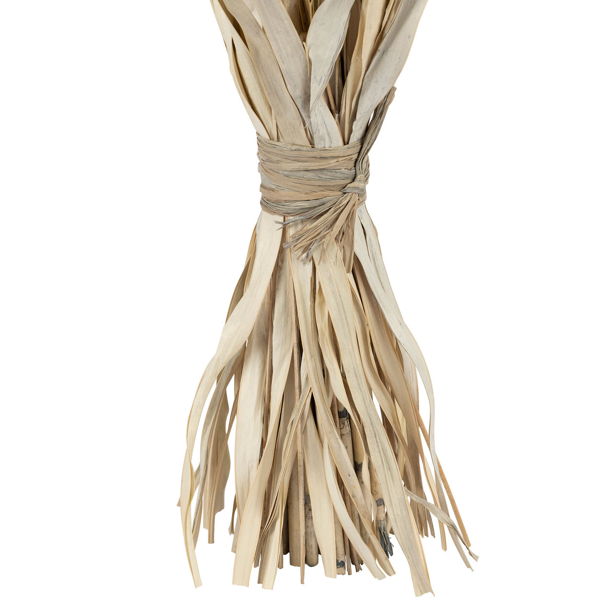 Bouquet Alpiste-Millet Nat H60 Dried Plants — The Hampton Home Shop